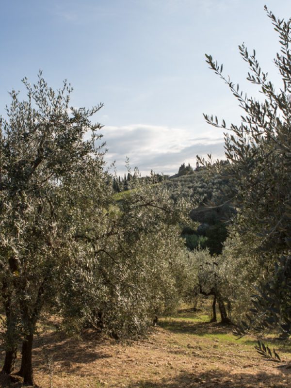 ospitalità